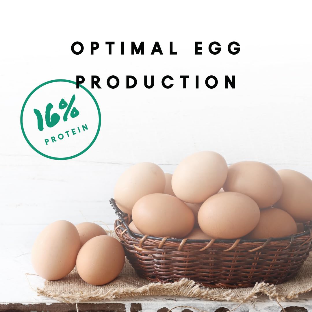 Manna Pro Layer Pellets pellets riches en calcium et oméga-3 pour poules