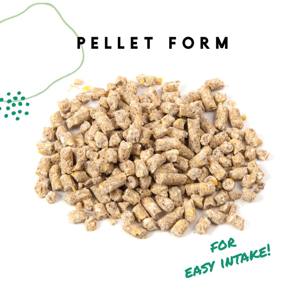 Manna Pro Layer Pellets probiotiques pour digestion et absorption des nutriments