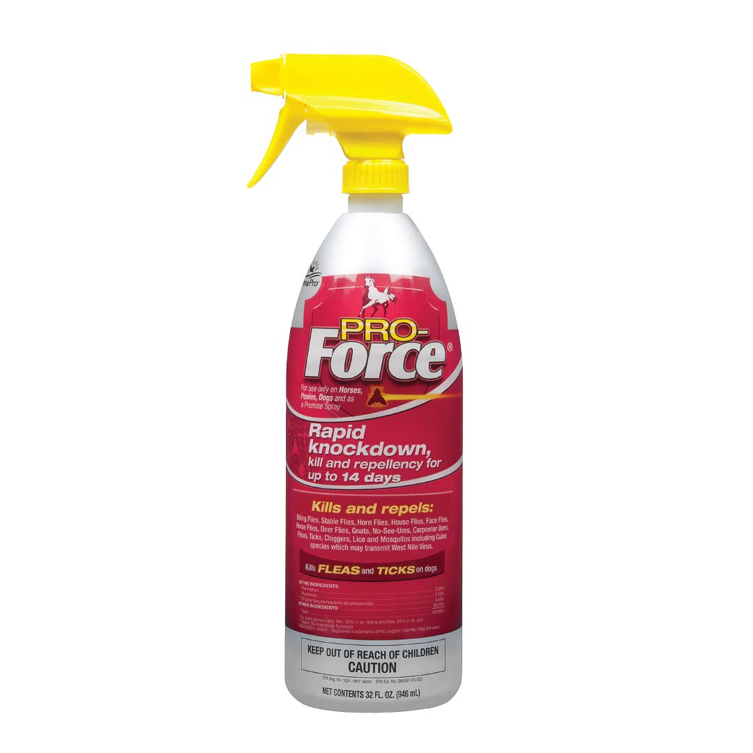 Manna Pro Pro-Force Spray cheval protège contre les mouches irritantes lors des séances