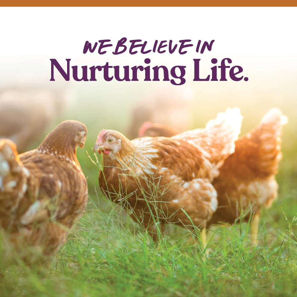 Manna Pro: poules heureuses grâce à une alimentation variée.
