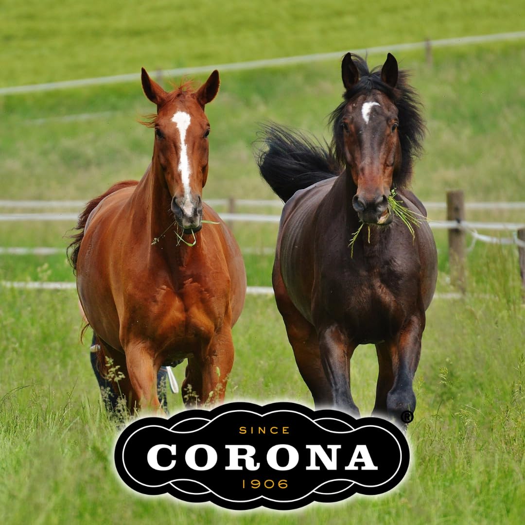 Corona convient aussi pour chiens et chats, soin polyvalent de la peau.