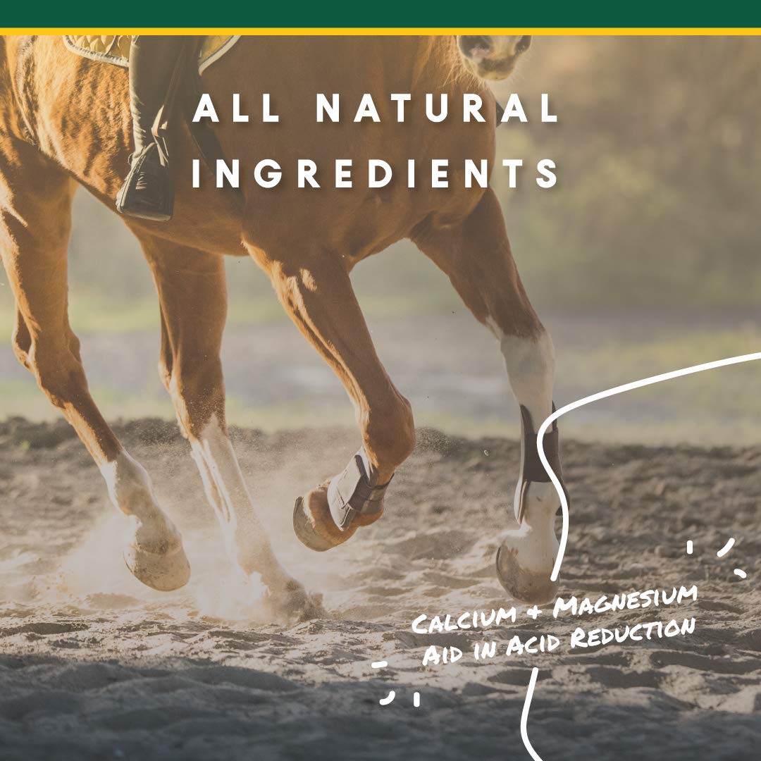 Cheval en compétition utilisant les pellets pour soutien digestif potentiel.