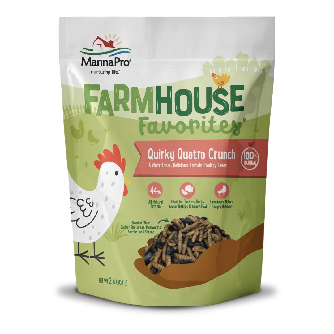 Manna Pro Quirky Quatro Crunch – sac 2 lb, friandise protéinée pour volailles, énergie quotidienne.