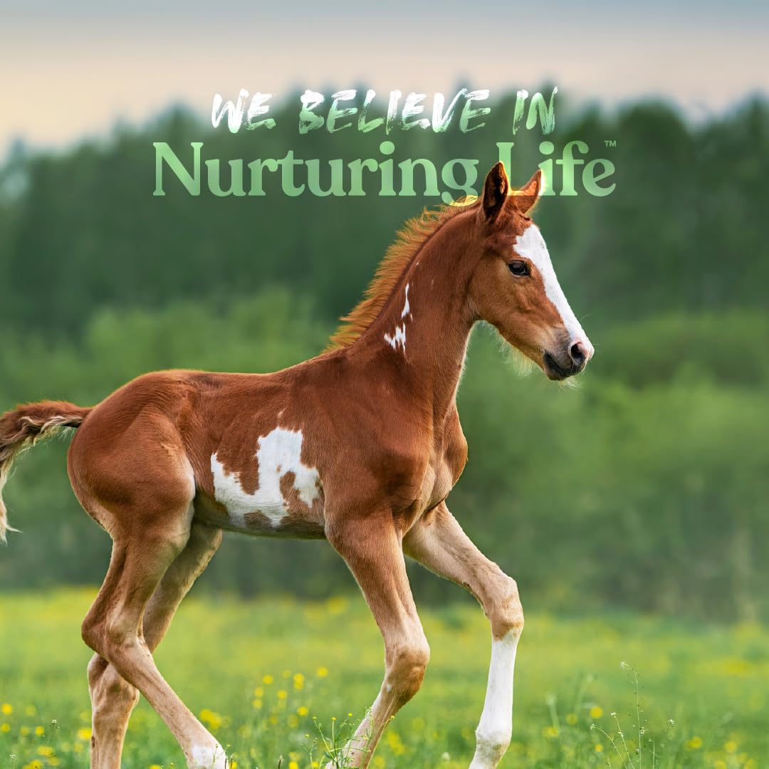 Manna Pro Nurse All Multi-Species Milk Replacer nutrition complète