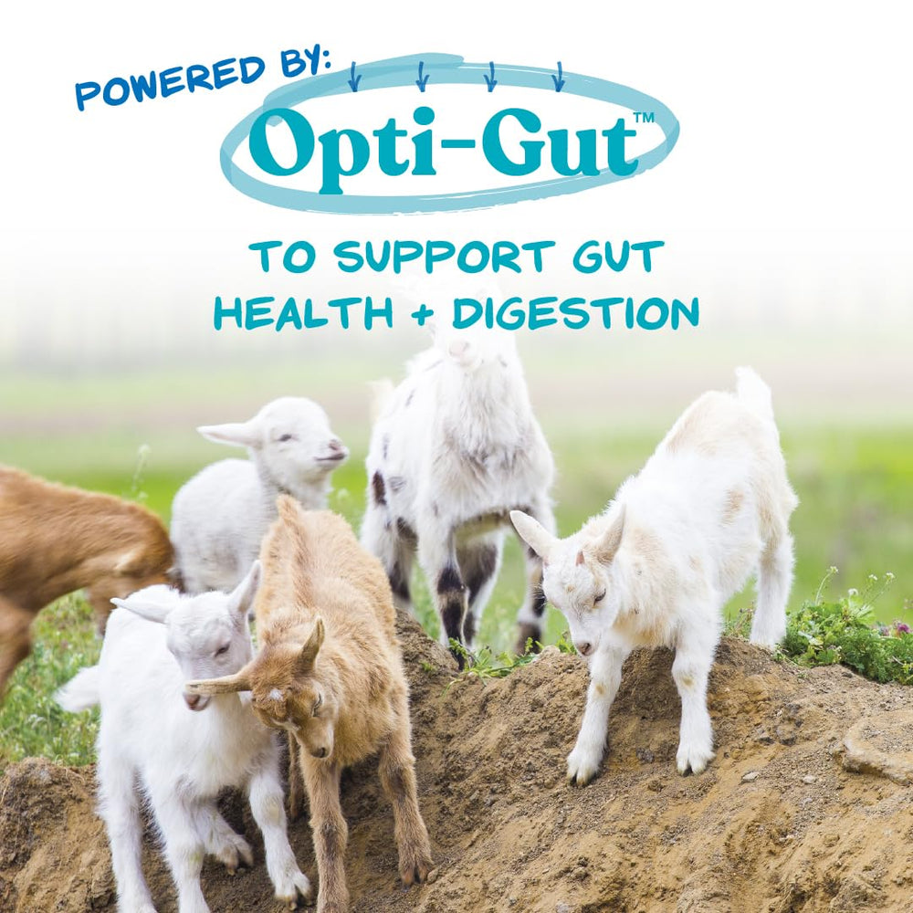 Manna Pro Nurse All Multi-Species Milk Replacer Opti-Gut probiotiques