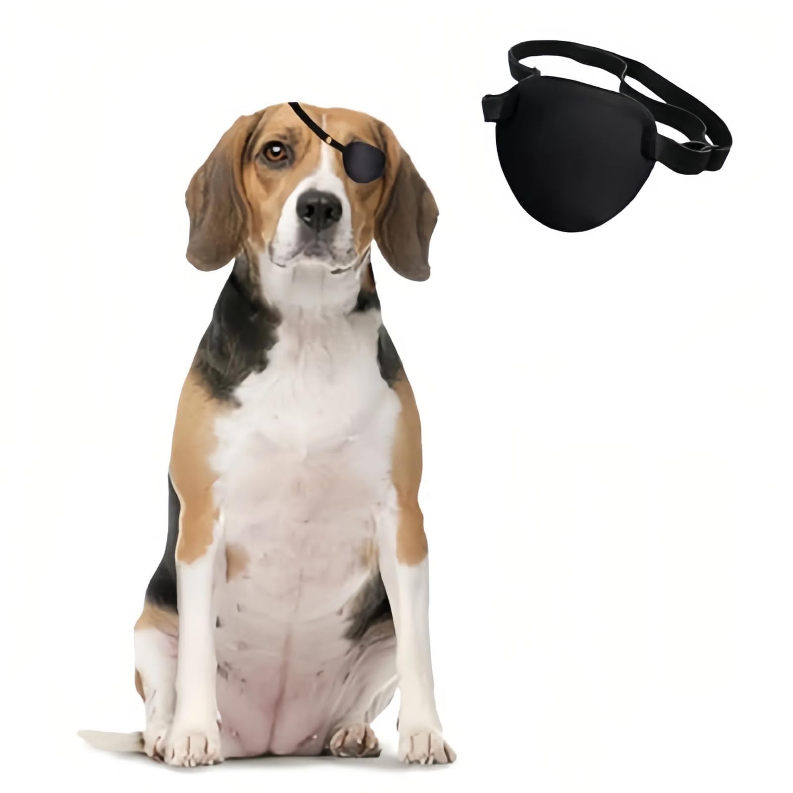Patch œil chien simple Manon Rosa, protégeant l'œil lors de la récupération