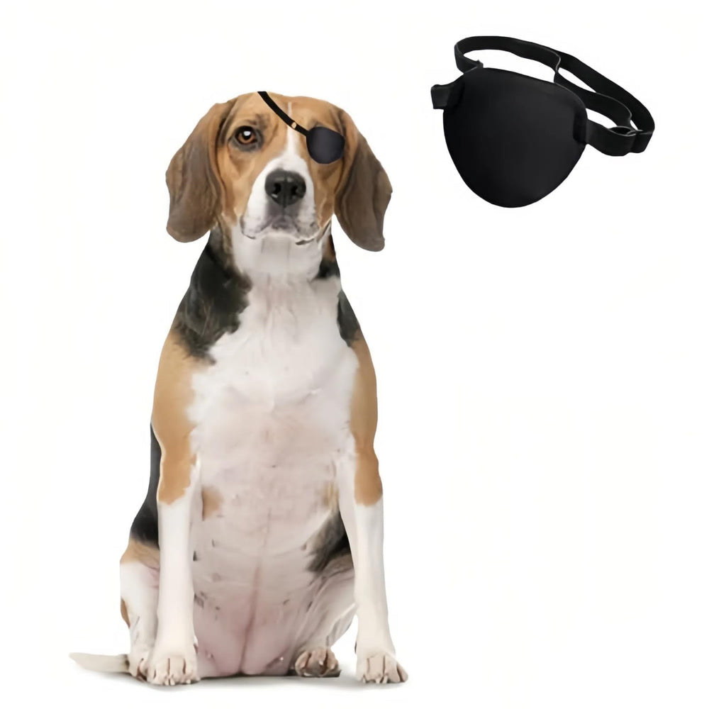 Patch œil chien simple Manon Rosa, protégeant l'œil lors de la récupération