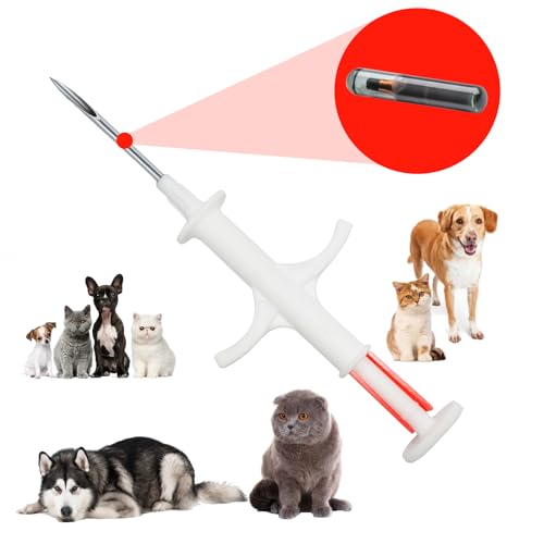 Manruta Microchip en cours d'insertion par vétérinaire, procédure sans douleur