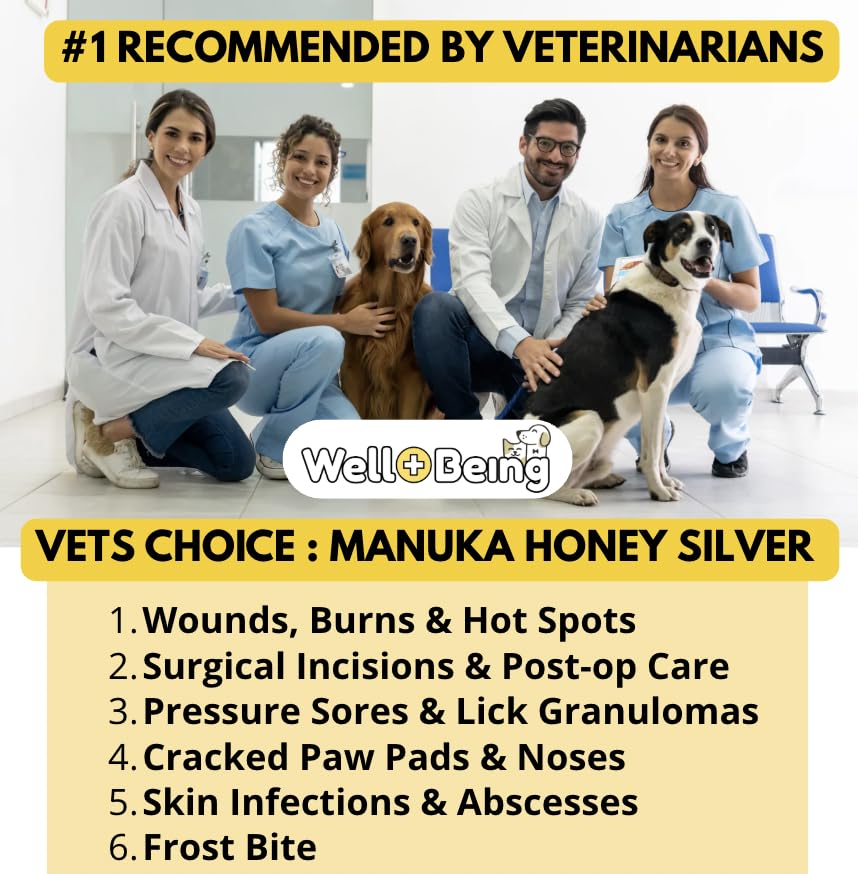 Soin des blessures chez le cheval avec Manuka Silver.