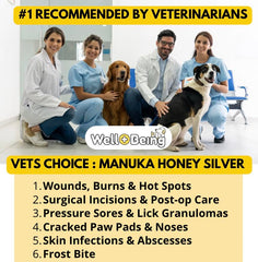 Soin des blessures chez le cheval avec Manuka Silver.