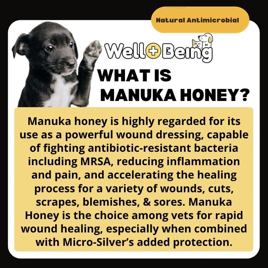 Texture crémeuse Manuka Silver qui adhère bien à la plaie.
