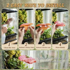 Maozyiltle Mushroom Ledge, habitat-poissons: décor polyvalent pour aquariums.