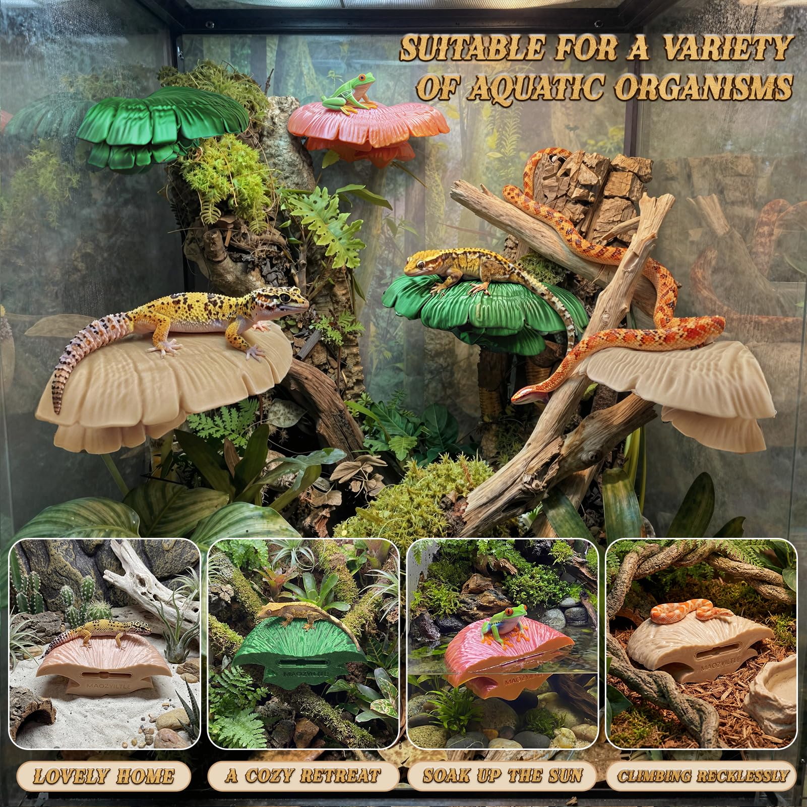 Maozyiltle Mushroom Ledge, habitat-reptiles: favorise exploration et repos.