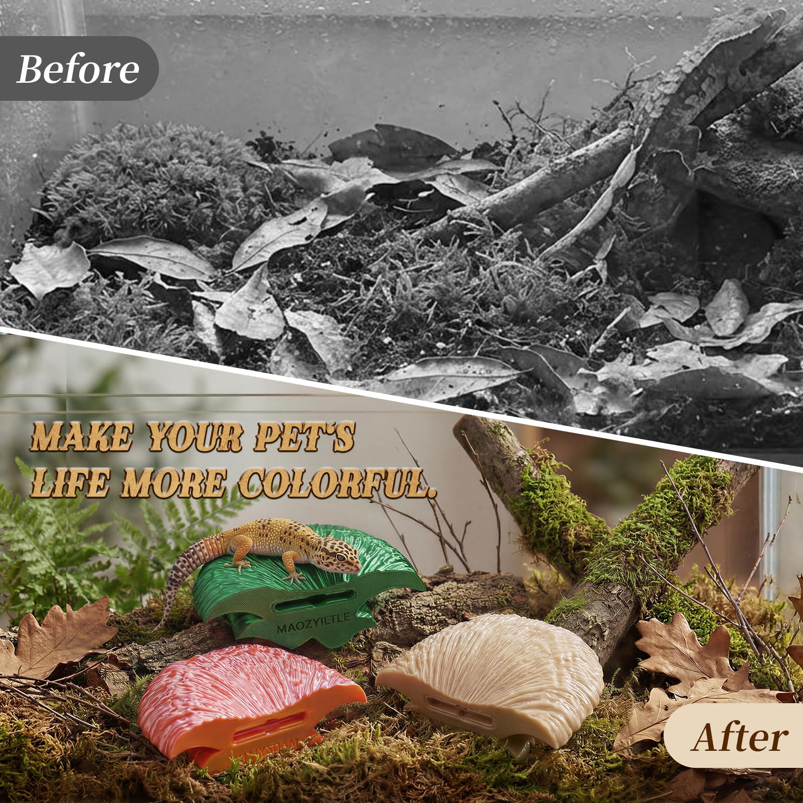 Maozyiltle Mushroom Ledge, modelage 3D: couleurs naturelles et détails nets.
