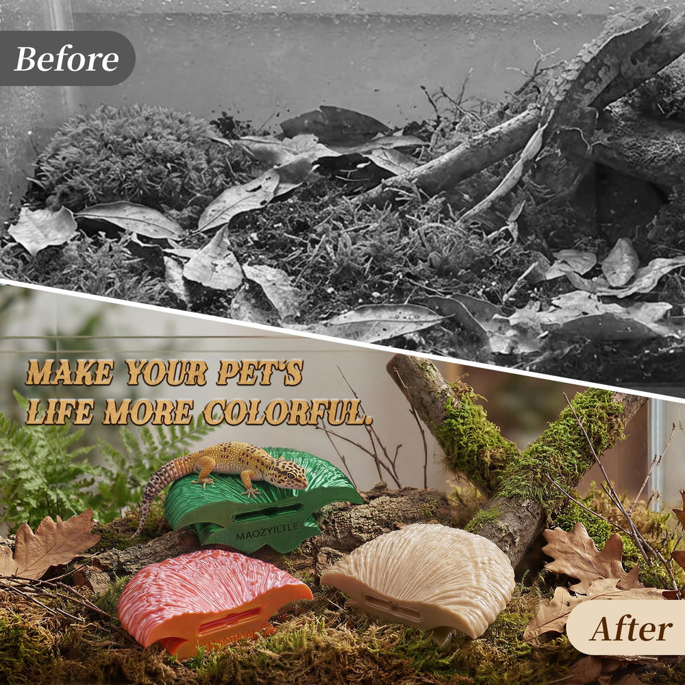 Maozyiltle Mushroom Ledge, modelage 3D: couleurs naturelles et détails nets.