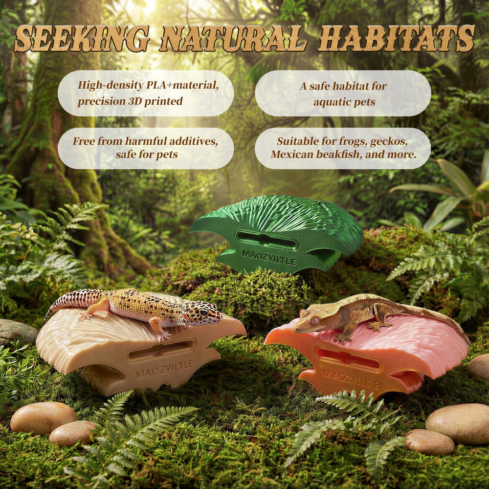 Maozyiltle Mushroom Ledge, plateforme d’exploration: stimulation et activité.