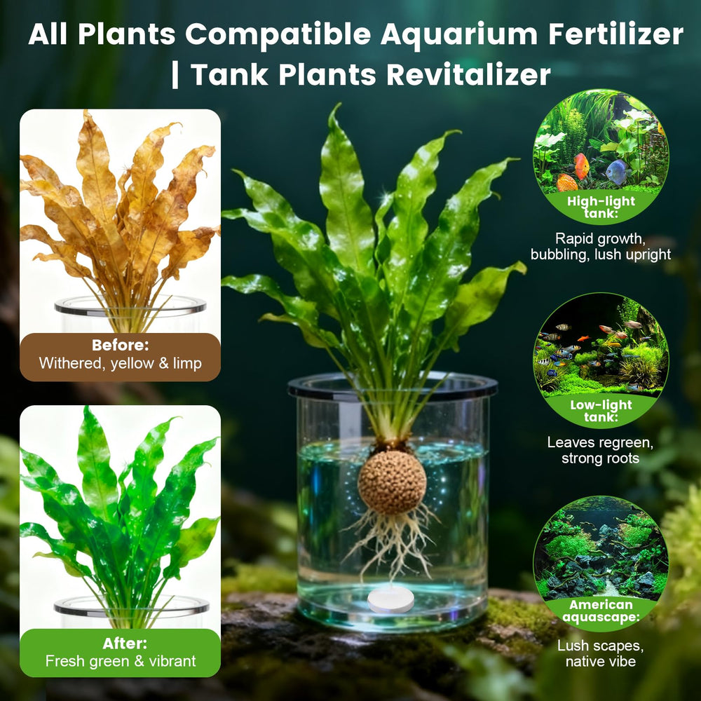 Pastilles Maozyiltle – insertion sous substrat pour nourrir les racines des plantes.