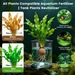 Pastilles Maozyiltle – insertion sous substrat pour nourrir les racines des plantes.