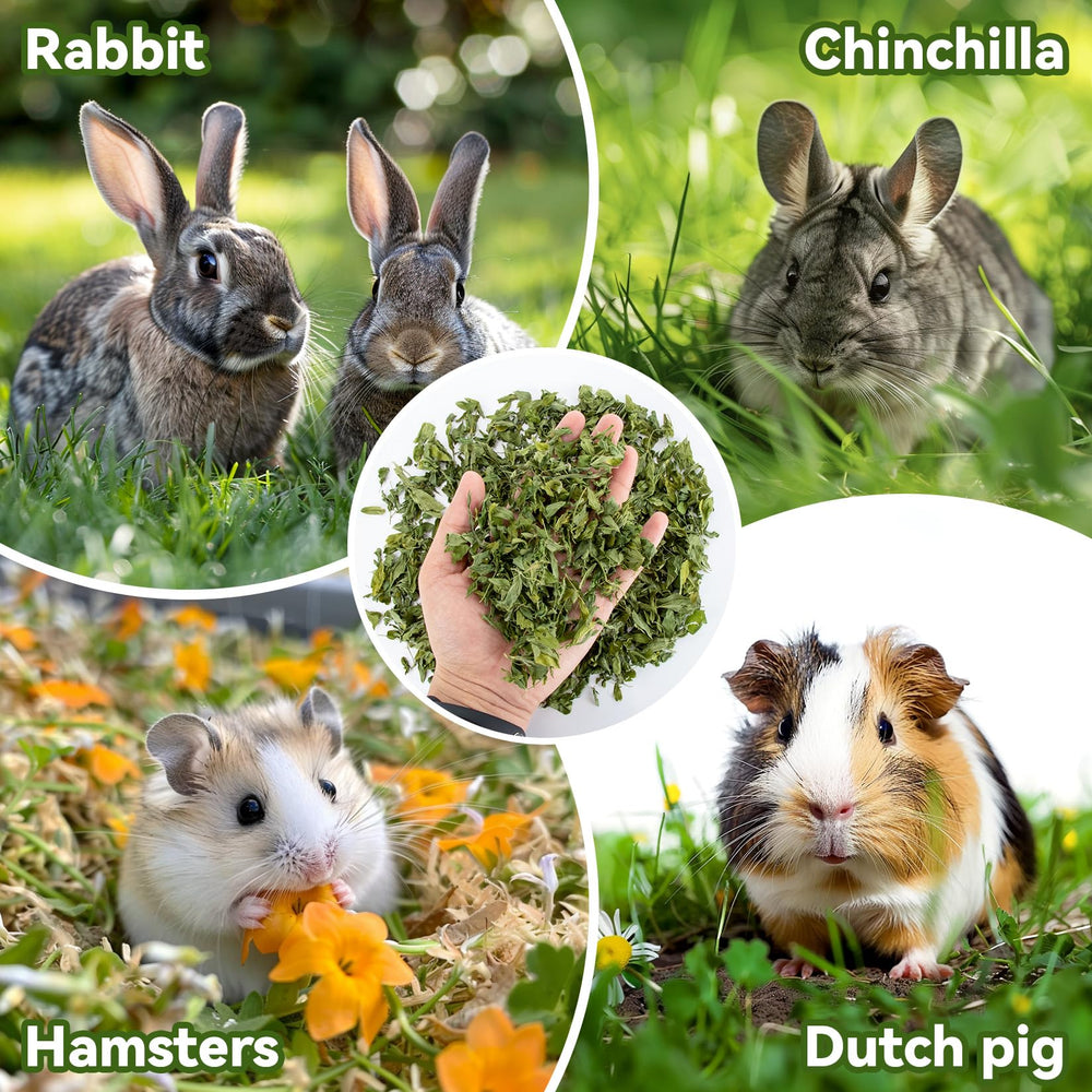 MAQIHAN alimentation pour petits animaux à base d'alfalfa de qualité.