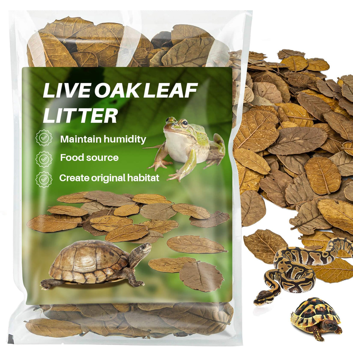 MaQIHAN feuilles-chene-seches, substrat naturel pour terrarium et humidité.
