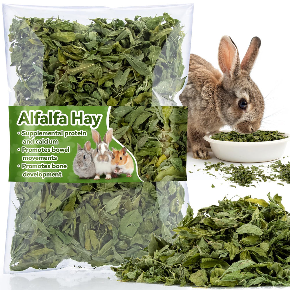 MAQIHAN foin d'alfalfa tendre idéal pour lapins et petits animaux.