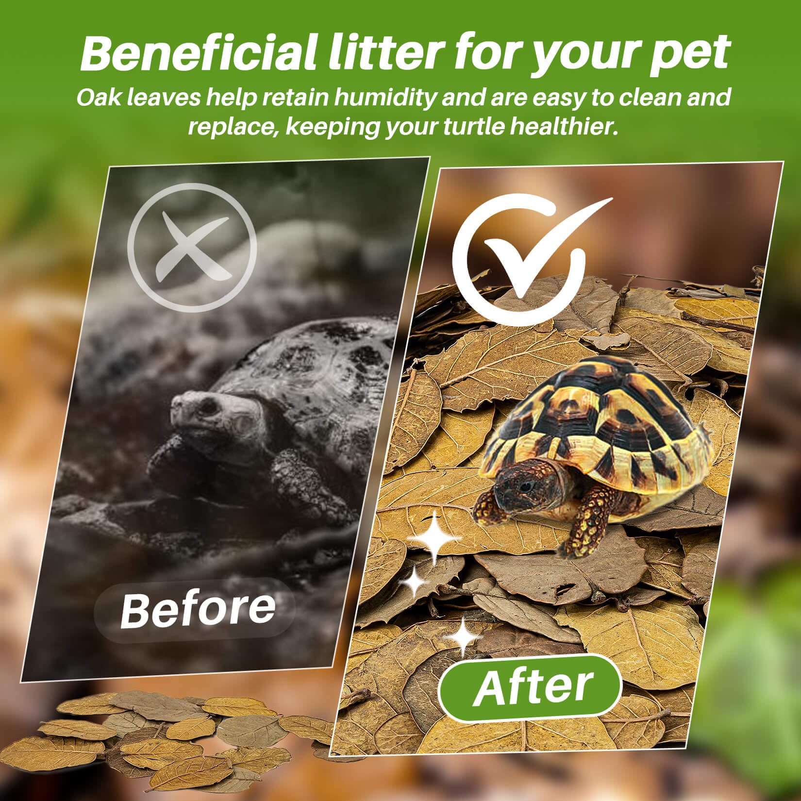 MAQIHAN feuilles chêne: humidité équilibrée pour reptiles et amphibiens.