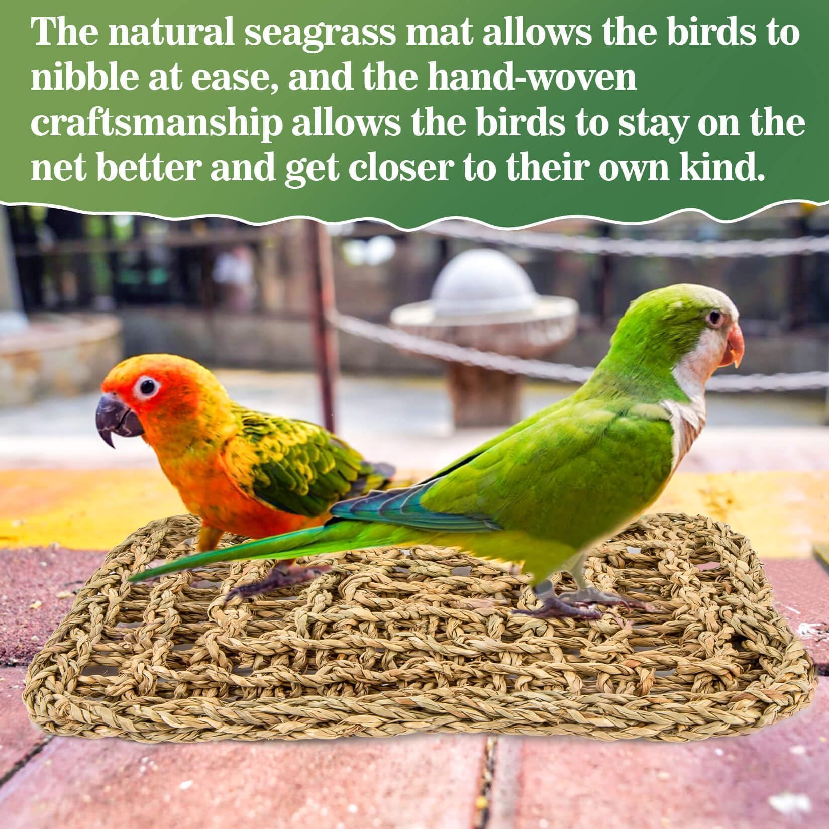 MAQIHAN Seagrass Mat Dimensions-30x20cm – adaptée pour petits et moyens oiseaux.