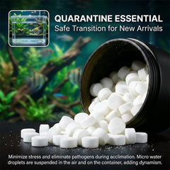 MAQIHAN Sel d’aquarium minéraux calcium magnésium pour la vitalité des poissons.