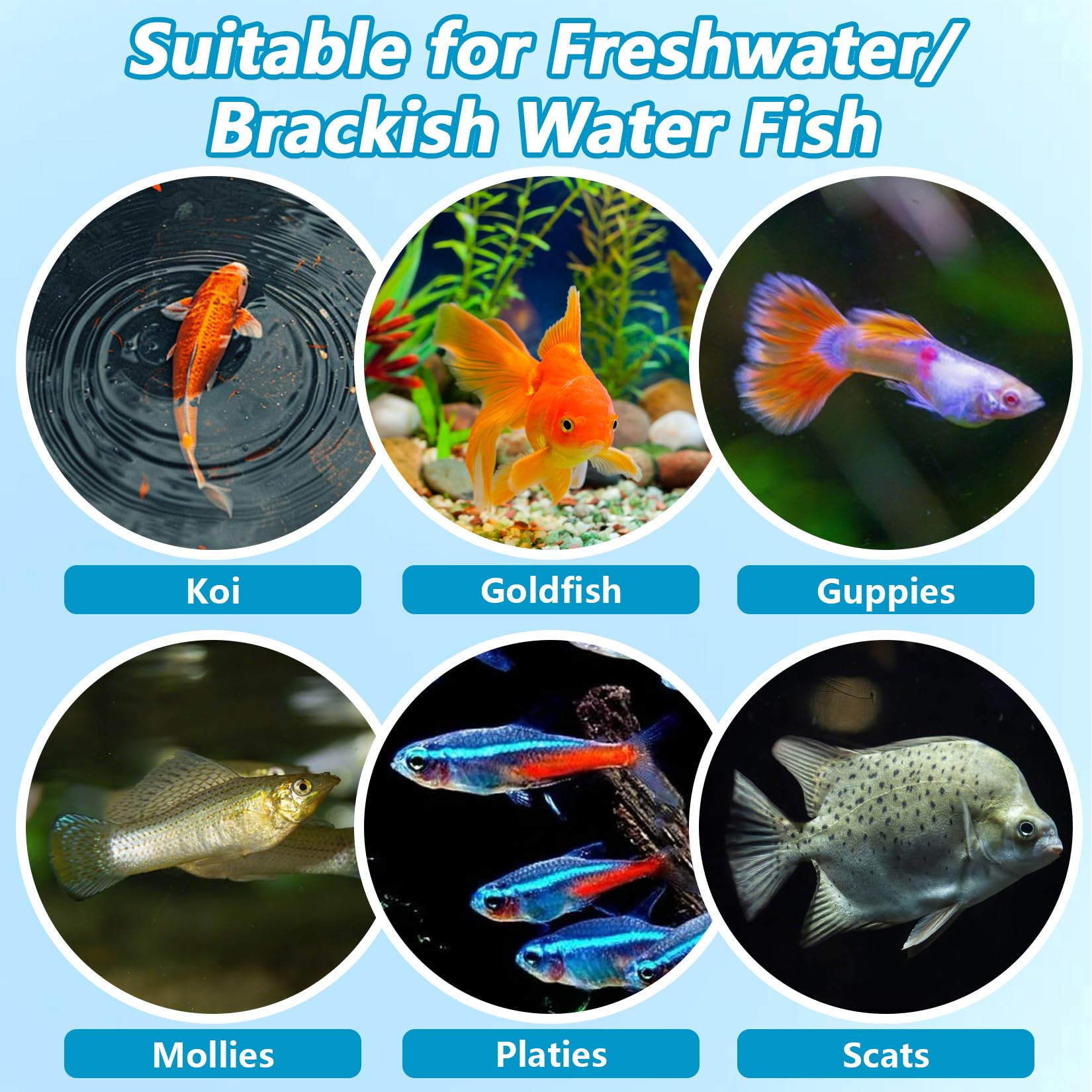 MAQIHAN Sel d’aquarium soins pour guppies, goldfish et koi dans l’eau douce.