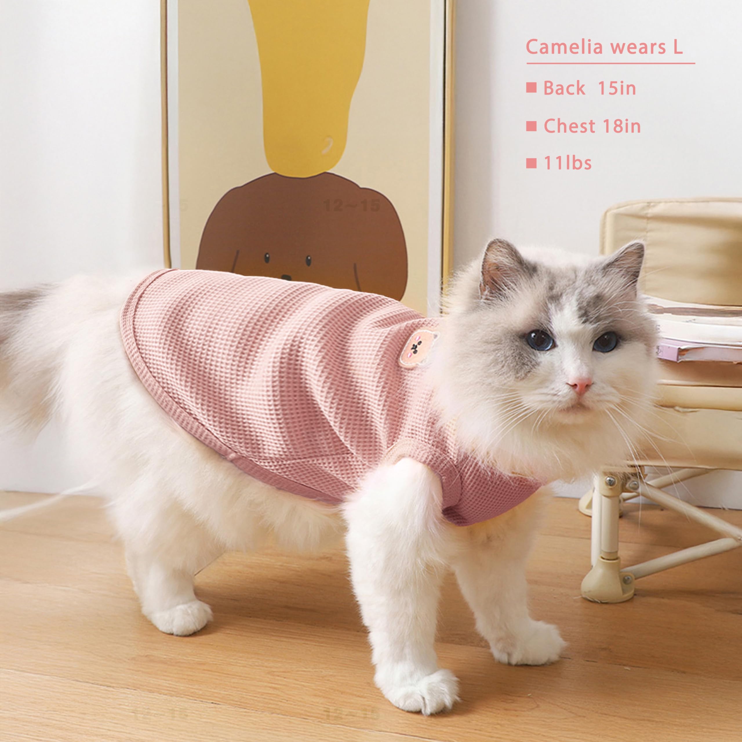 Confort tout au long de l'année grâce au tissu extensible Maqilo.