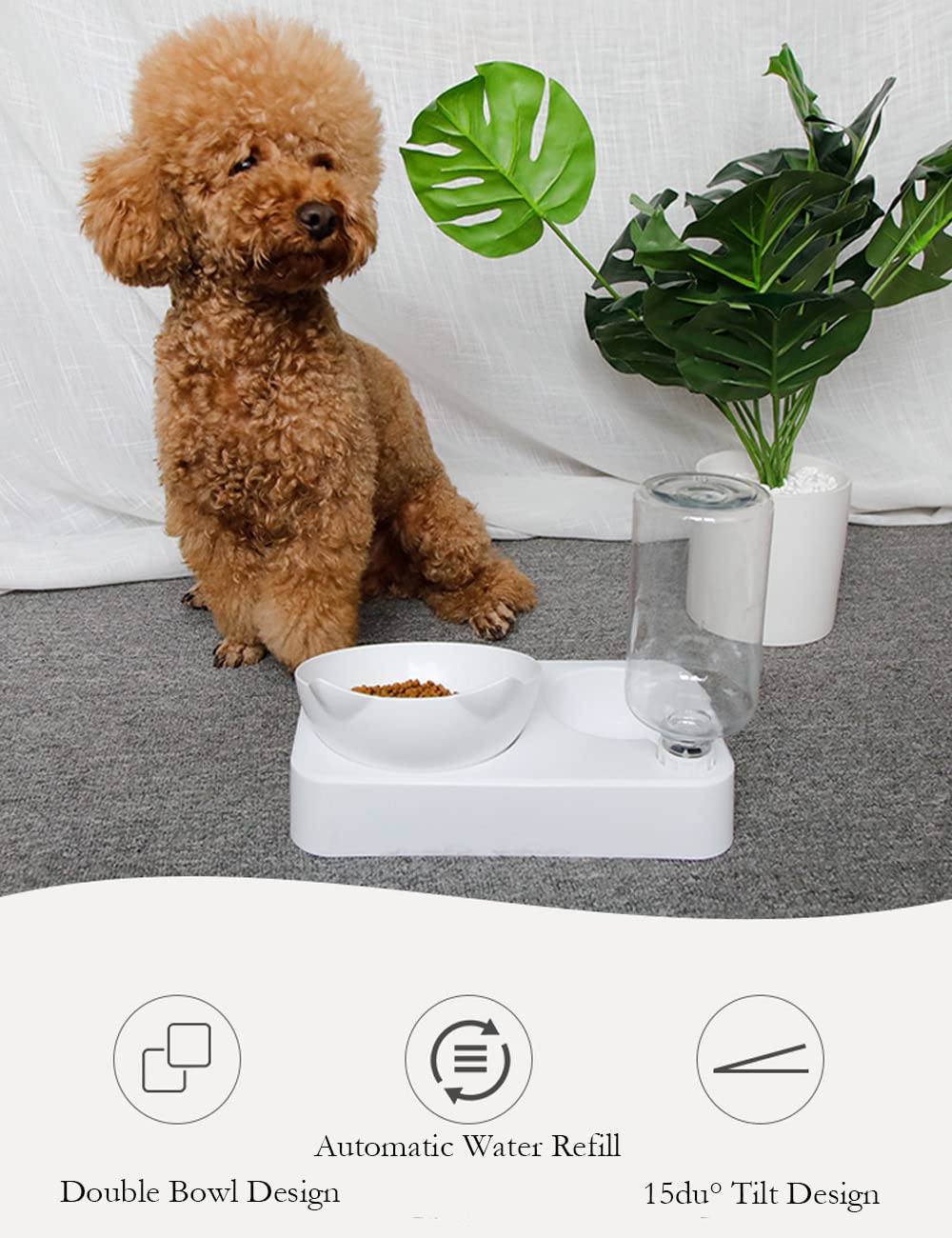 Marchul fenetre transparente facilite le suivi nourriture et eau.