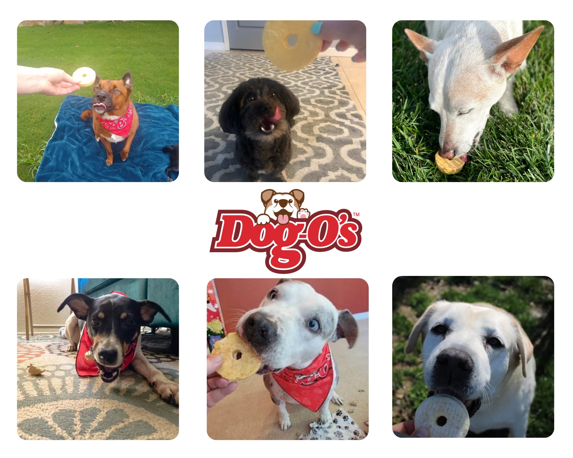 Taille deux pouces idéale pour petits chiens et récompense.