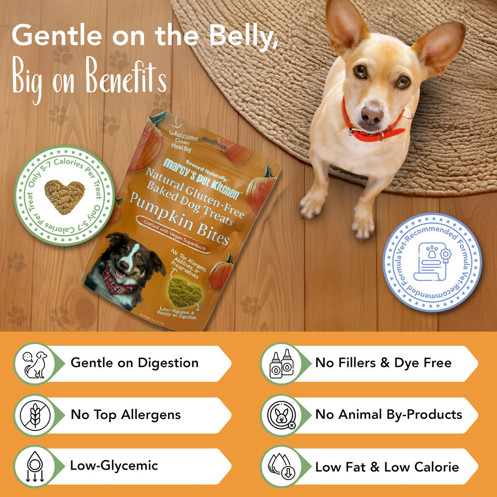 Marcy's Pet Kitchen sachet biscuits citrouille, option vegan et sans gluten.