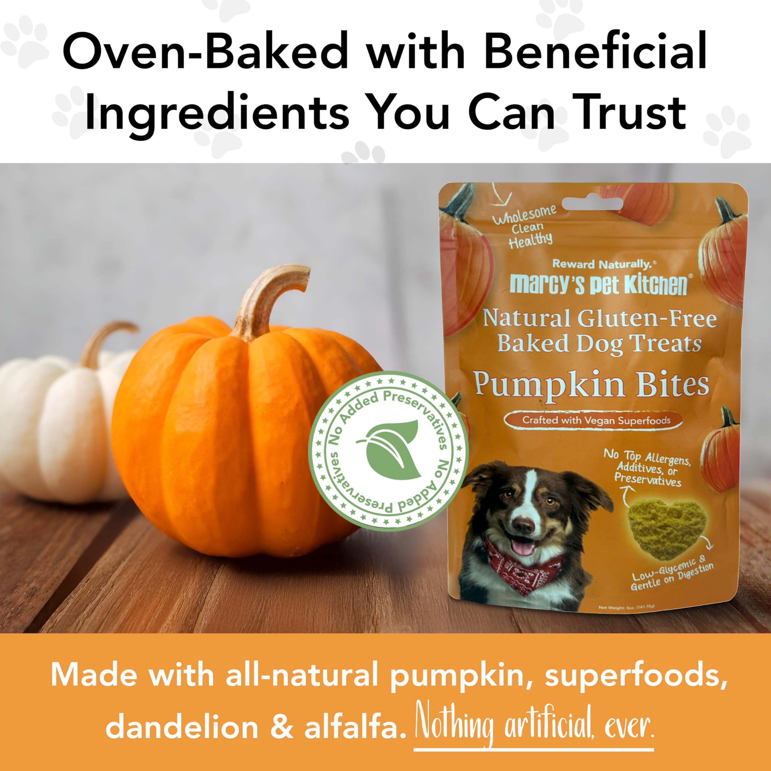 Marcy's Pet Kitchen biscuit vegan sans gluten, snack naturel pour chiens.