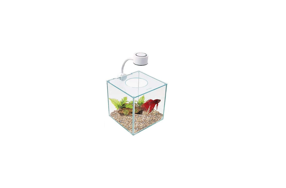 Marina Cubus Betta Kit: aquarium en verre élégant pour maison et bureau