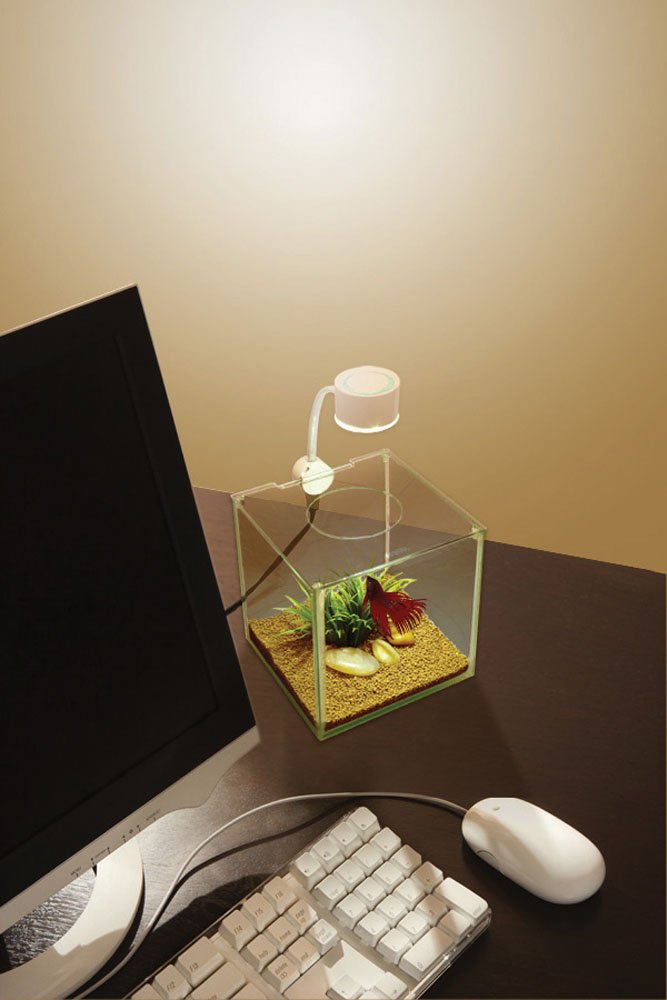 Marina Cubus Betta Kit: pied sur socle qui protège les surfaces