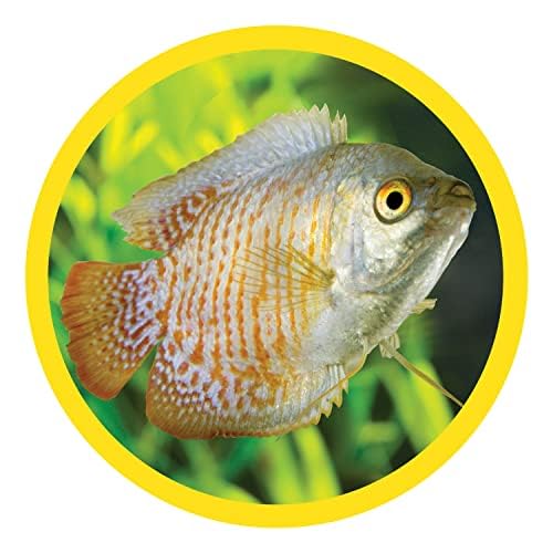 Marineland Bambou 3 pieds – accessoire décoratif polyvalent pour aquarium et terrarium