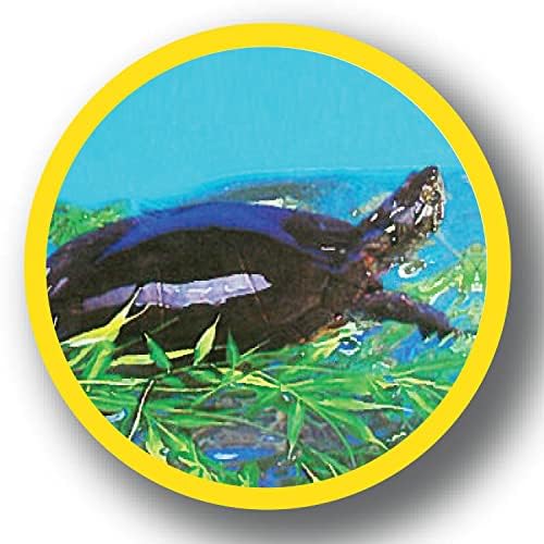 Marineland Bambou 3 pieds – intégration harmonieuse autour d’autres décorations