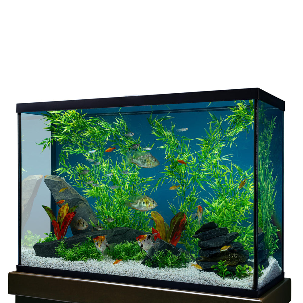 Marineland Bambou 3 pieds – texture réaliste et couleur naturelle