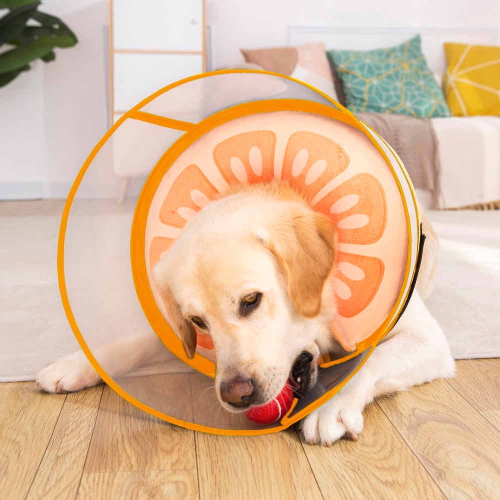 Mariyago collier gonflable pour chien grand, protection efficace après chirurgie.