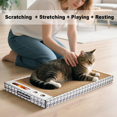 Balle-cloche Markarbarka, jouet attrayant pour chats et jeu interactif.