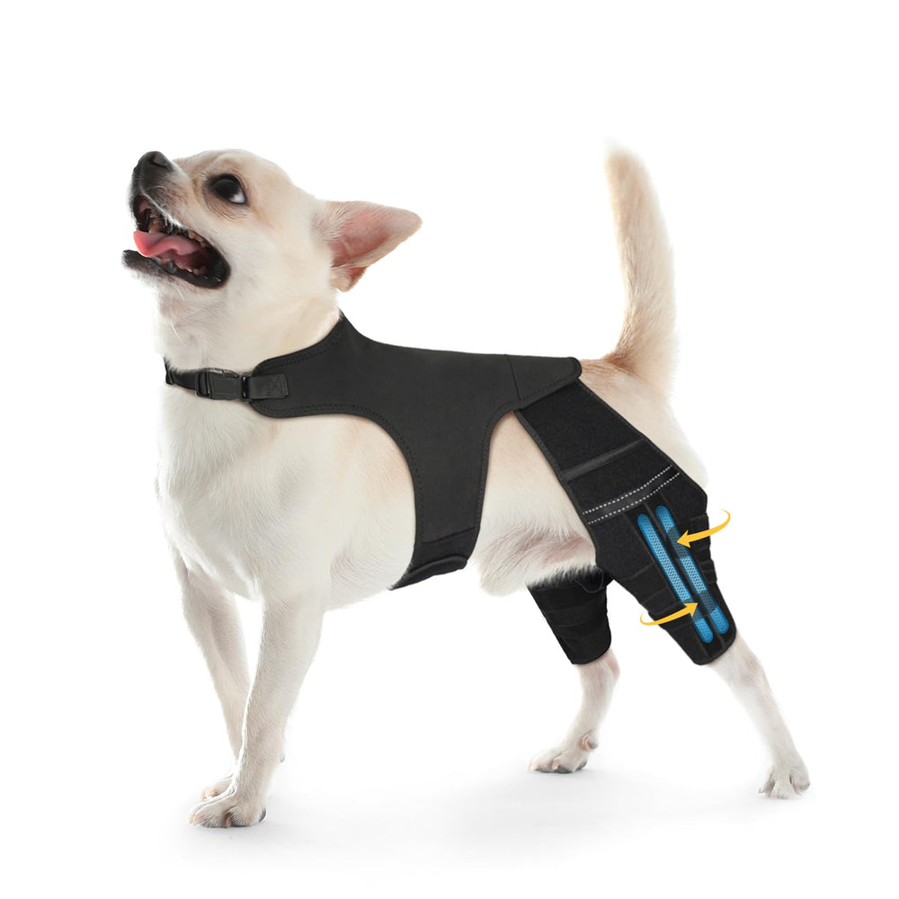 Marnonsis attelle patte arrière chien stabilisateurs métalliques pour stabilisation orthopédique
