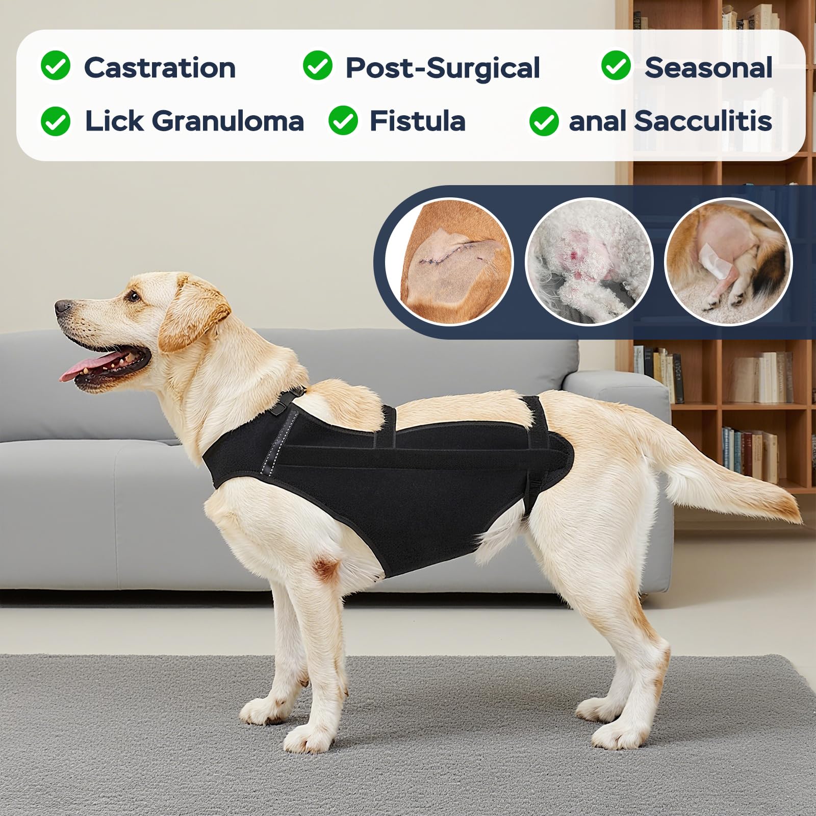 Marnonsis douceur tissu gilet chien: contact agréable et elasticité adaptée.