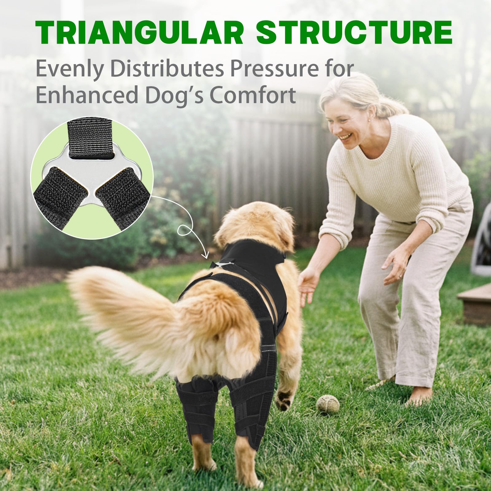 Guide des tailles Marnonsis pour chiens avec six options
