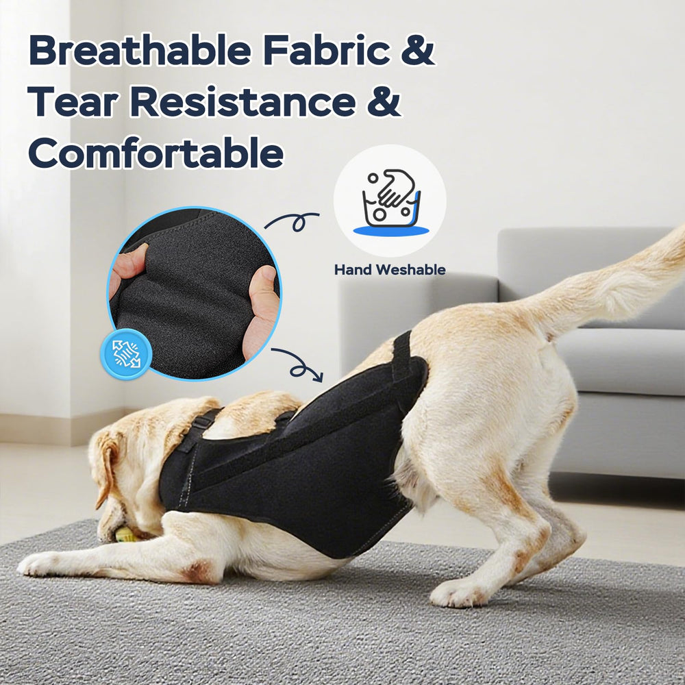 Marnonsis lavage reutilisable gilet chien: solution économique et durable.