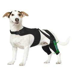 Orthèse genou chien arrière Marnonsis avec stabilisateurs pour soutien orthopédique
