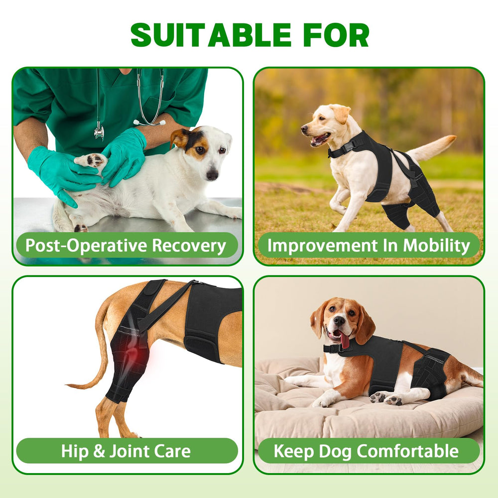 Tissu respirant et confortable évitant la surchauffe du chien