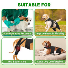 Tissu respirant et confortable évitant la surchauffe du chien
