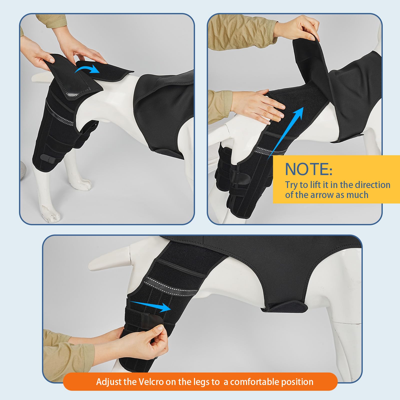 Marnonsis utilisation quotidienne attelle patte arrière chien soutien et récupération