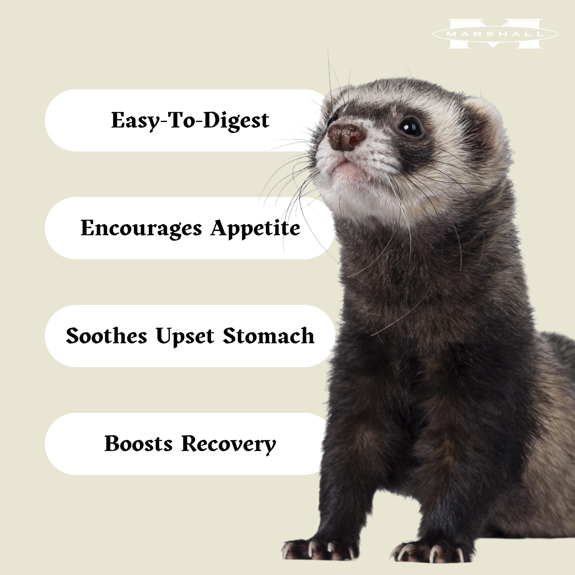 Marque Marshall Pet Products, expertise en nutrition et bien-être des furets.